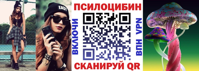 Галлюциногенные грибы Psilocybine cubensis blacksprut как зайти Курск как найти